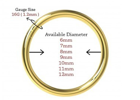 हिंगेड सेगमेंट 18K गोल्ड नोज़ पियर्सिंग क्लासिक 6-12mm आयाम: